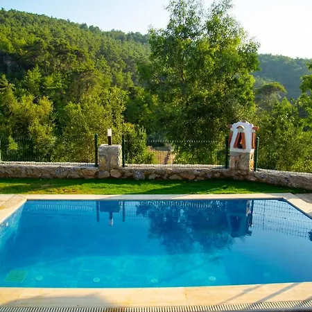 Zeytin 2 Gokce Villa *