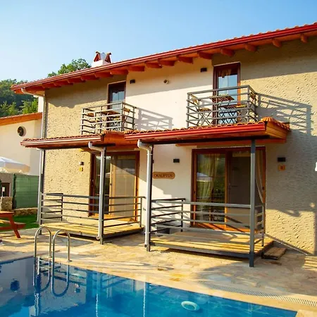 Zeytin 2 Gokce Villa *